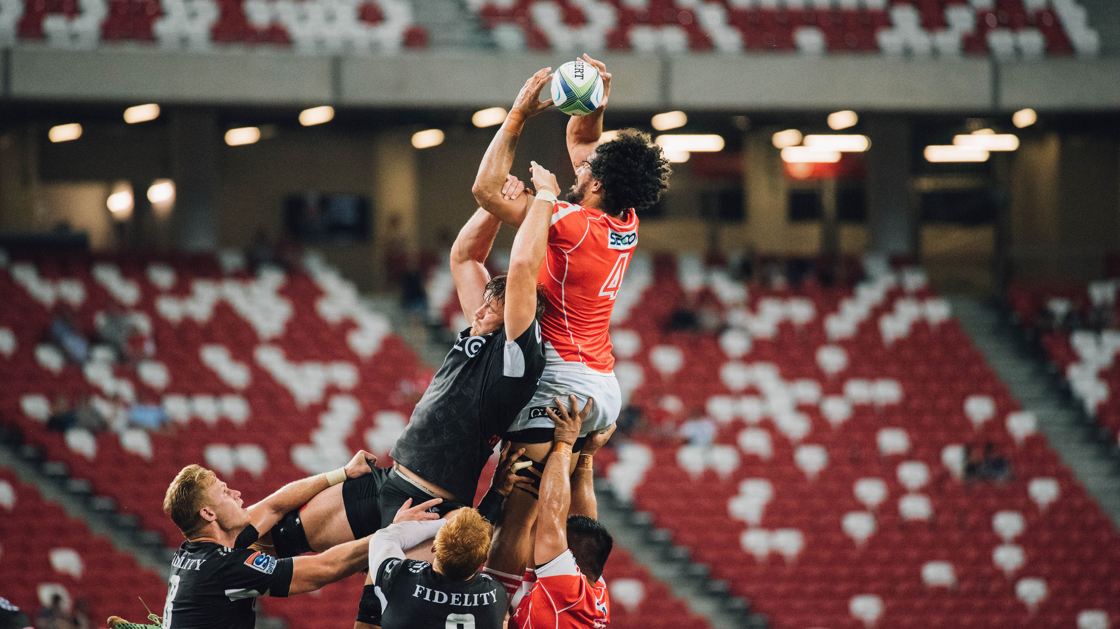 开云娱乐官网-_猛龙队实力逐步显现，迎来关键胜利_，猛龙队员